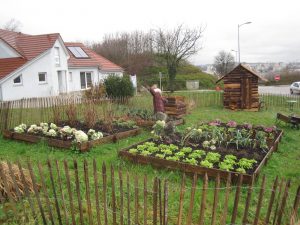 créer son potager