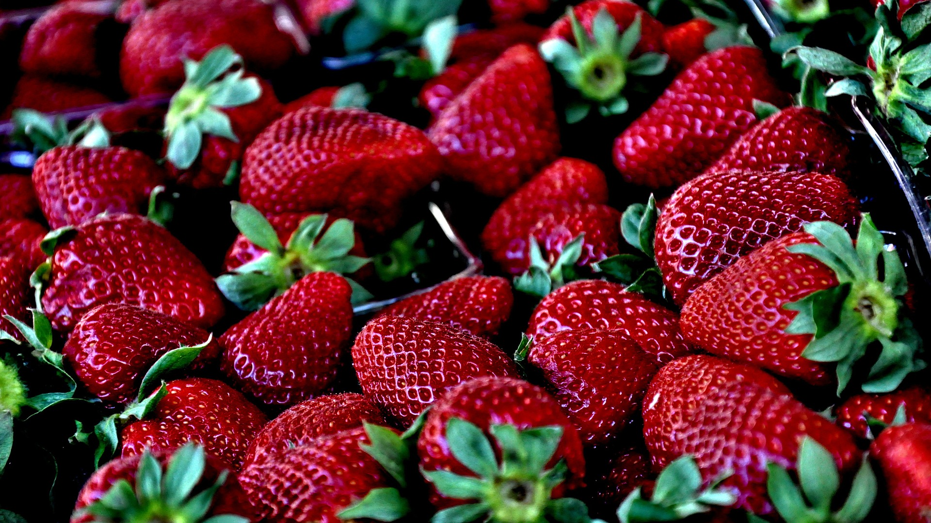 fraises