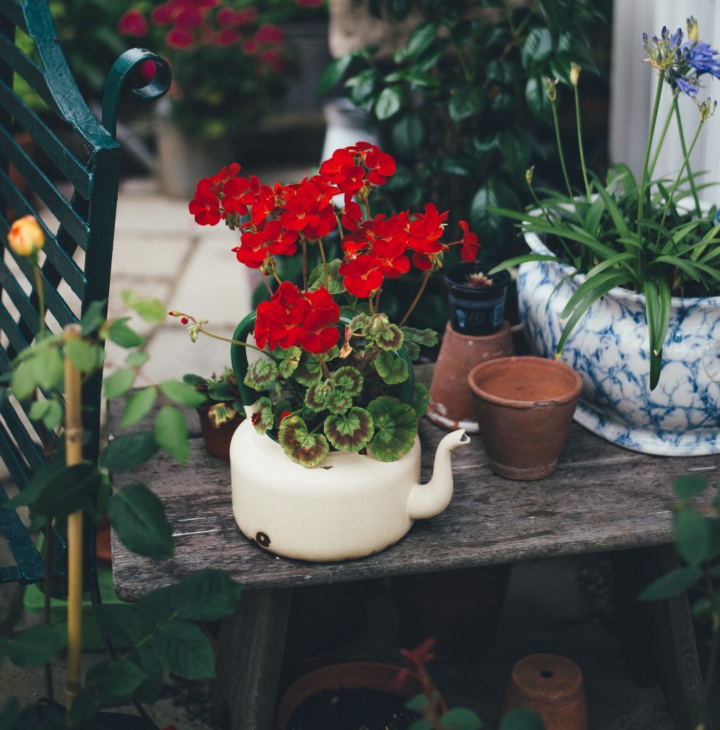 Pots de fleurs en vaisselle