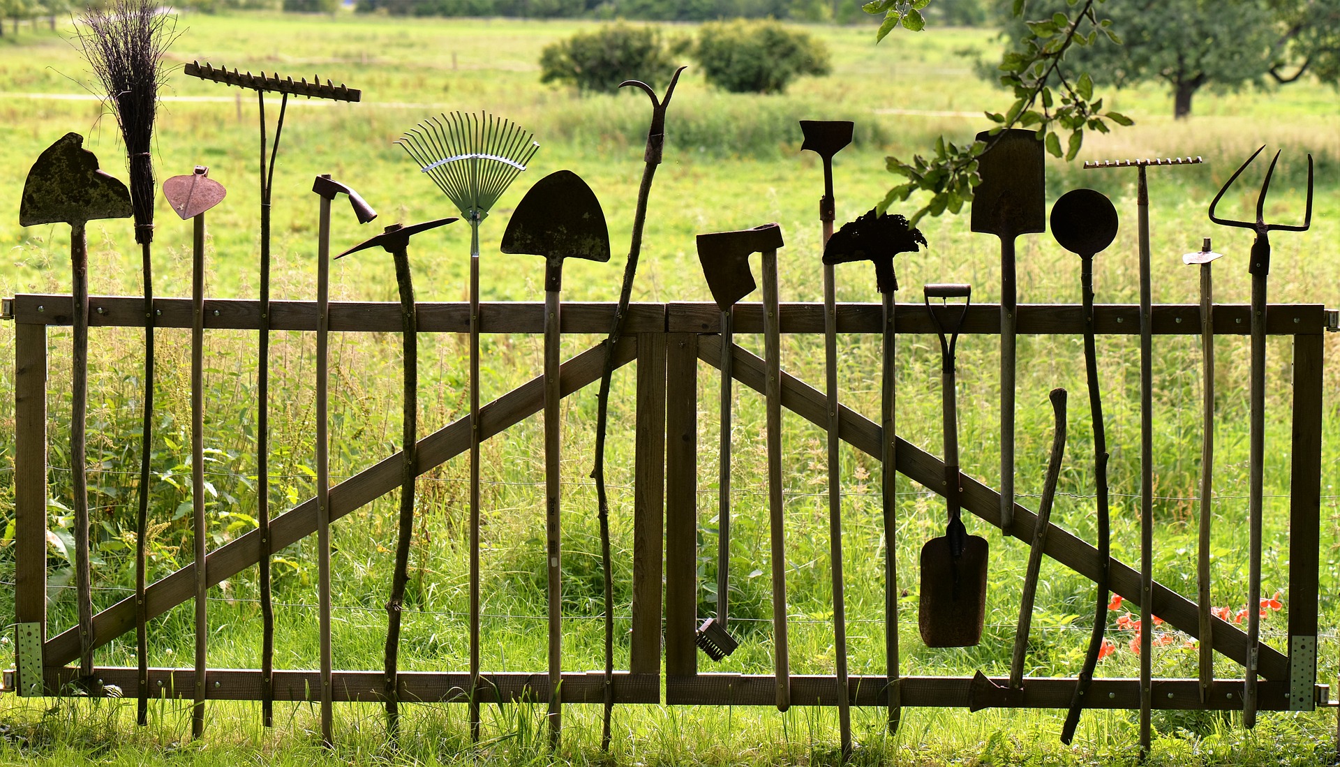 Accessoires pour le jardinage posés debout contre un portail en bois